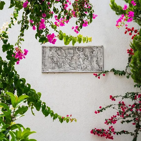 Manuela Boutique ביטז