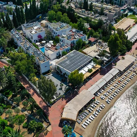 Manuela Boutique ביטז