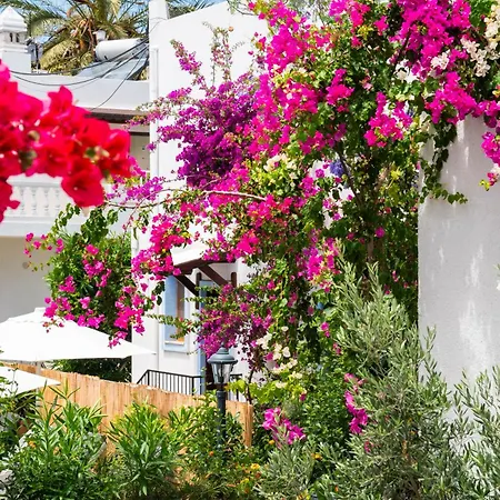 Manuela Boutique 3* ビテツ