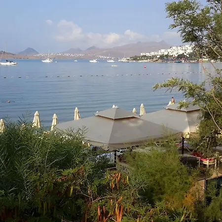 ホテル Manuela Boutique