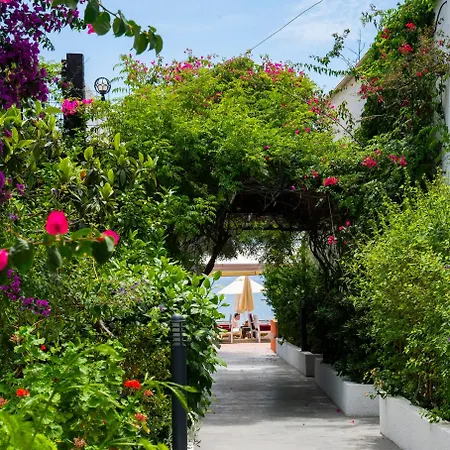 Manuela Boutique 酒店