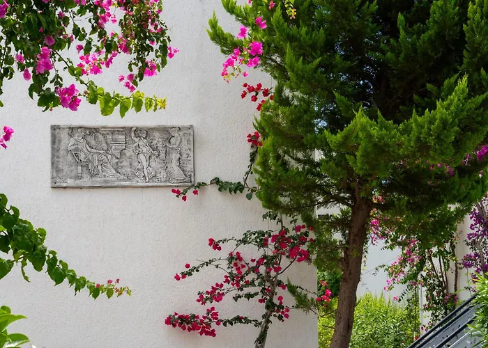 Ξενοδοχείο Manuela Boutique Bitez